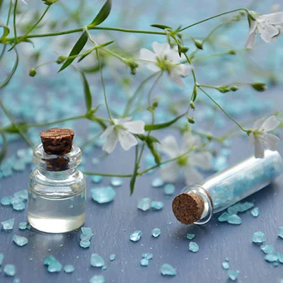 翻墙机场 | 2月22日19.1M/S|免费Singbox节点/Clash节点/Shadowrocket节点/V2ray节点/Trojan节点/SSR节点节点推荐，在线Clash机场梯子购买推荐